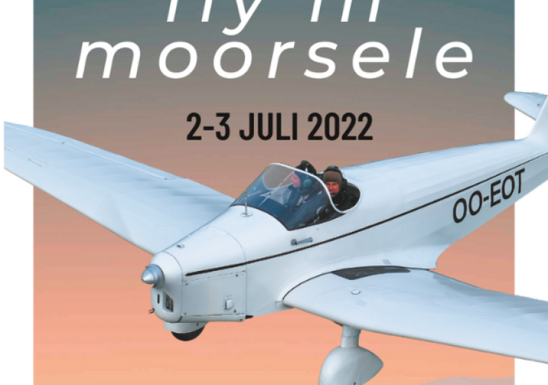 Fly in Moorsele
